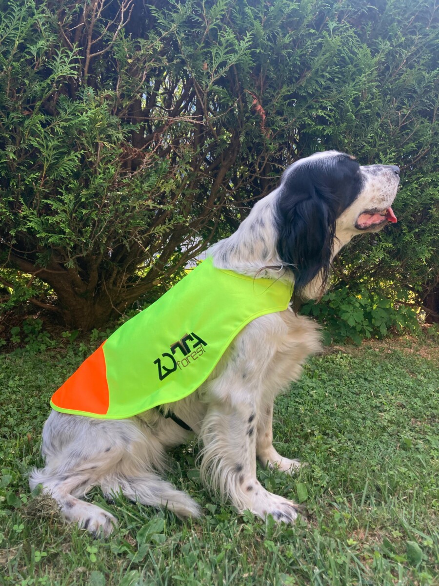 DOG COVER