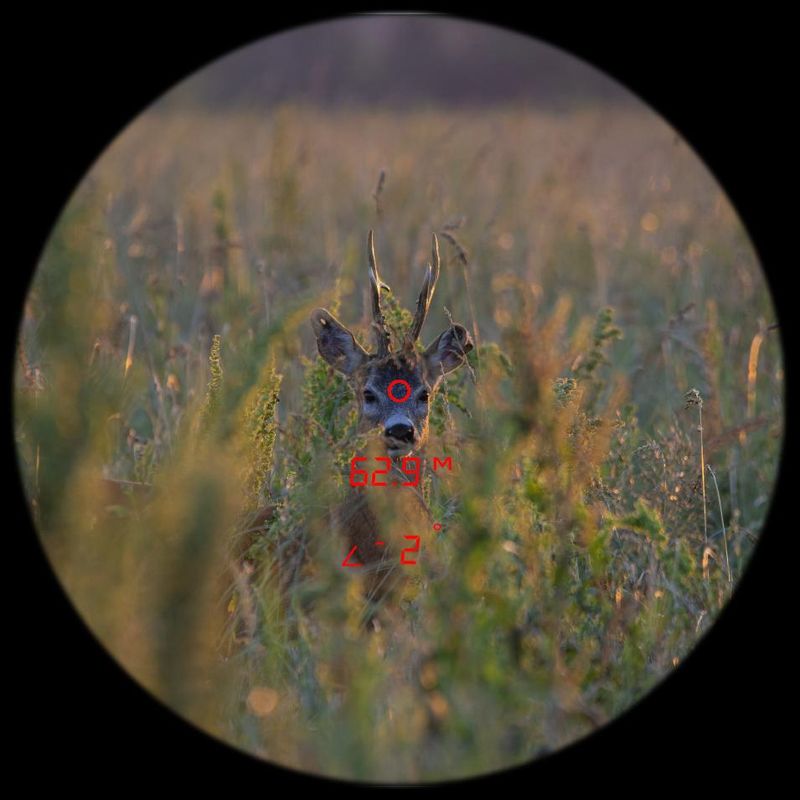 GPO 8×40 Rangeguide 3200 - immagine 2